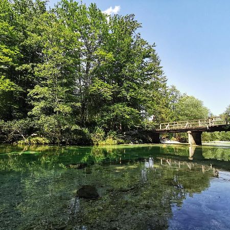 Apartma Neva Bohinj Dış mekan fotoğraf