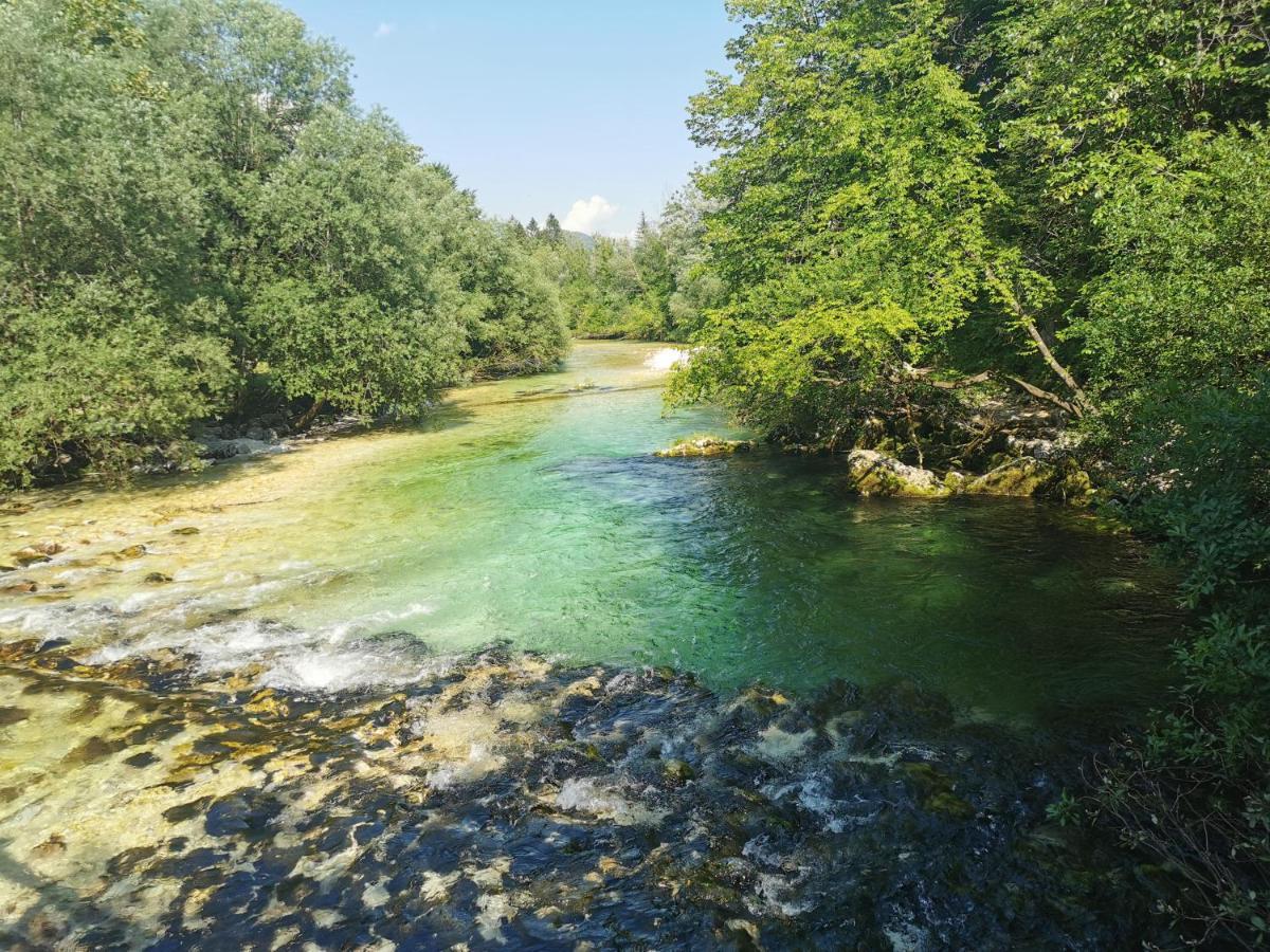 Apartma Neva Bohinj Dış mekan fotoğraf