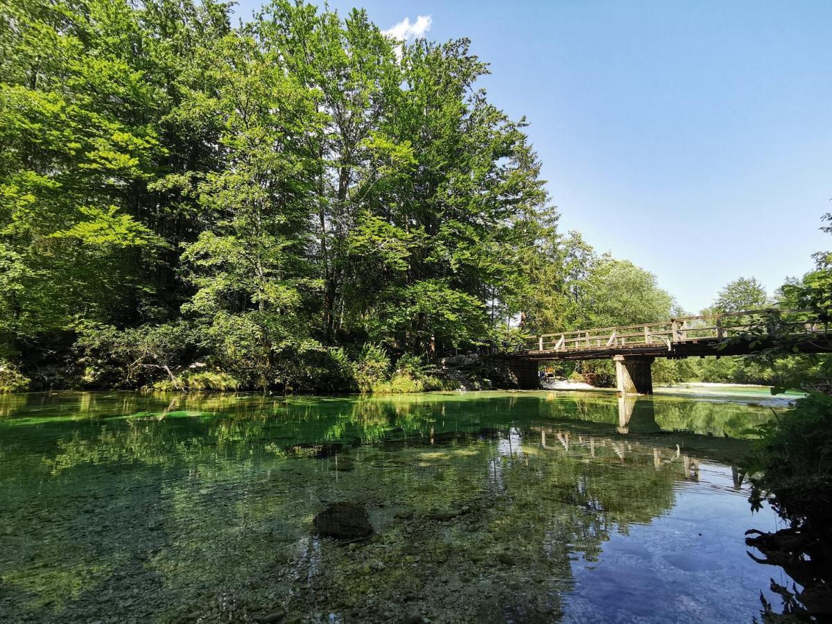 Apartma Neva Bohinj Dış mekan fotoğraf