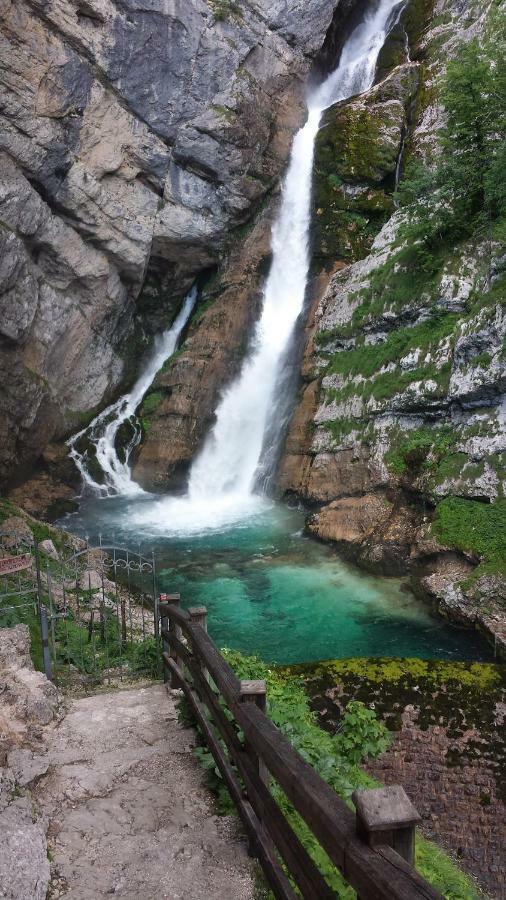 Apartma Neva Bohinj Dış mekan fotoğraf