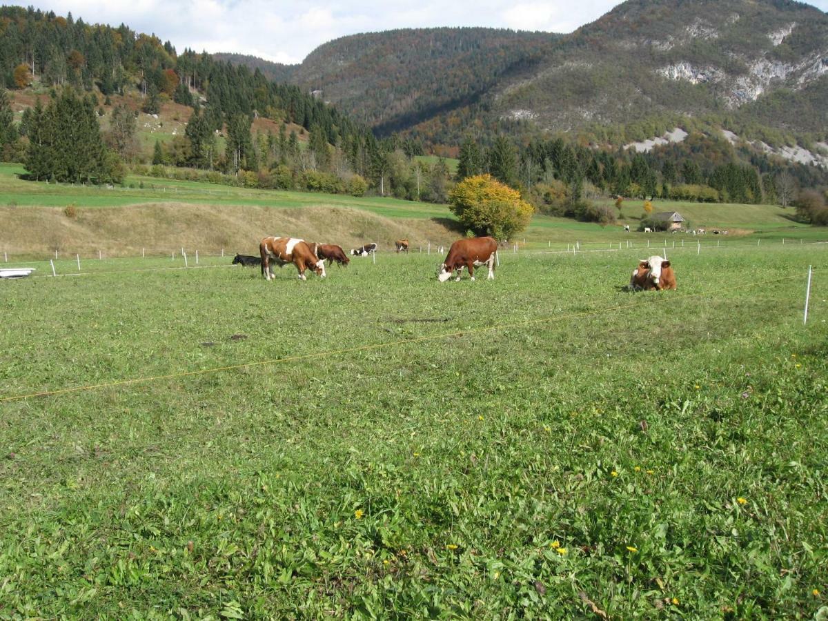 Apartma Neva Bohinj Dış mekan fotoğraf
