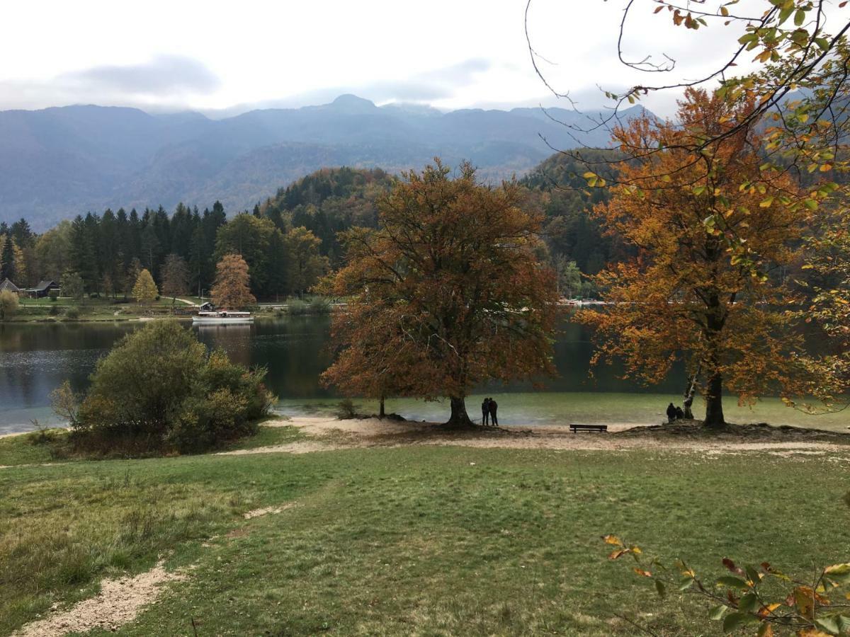Apartma Neva Bohinj Dış mekan fotoğraf