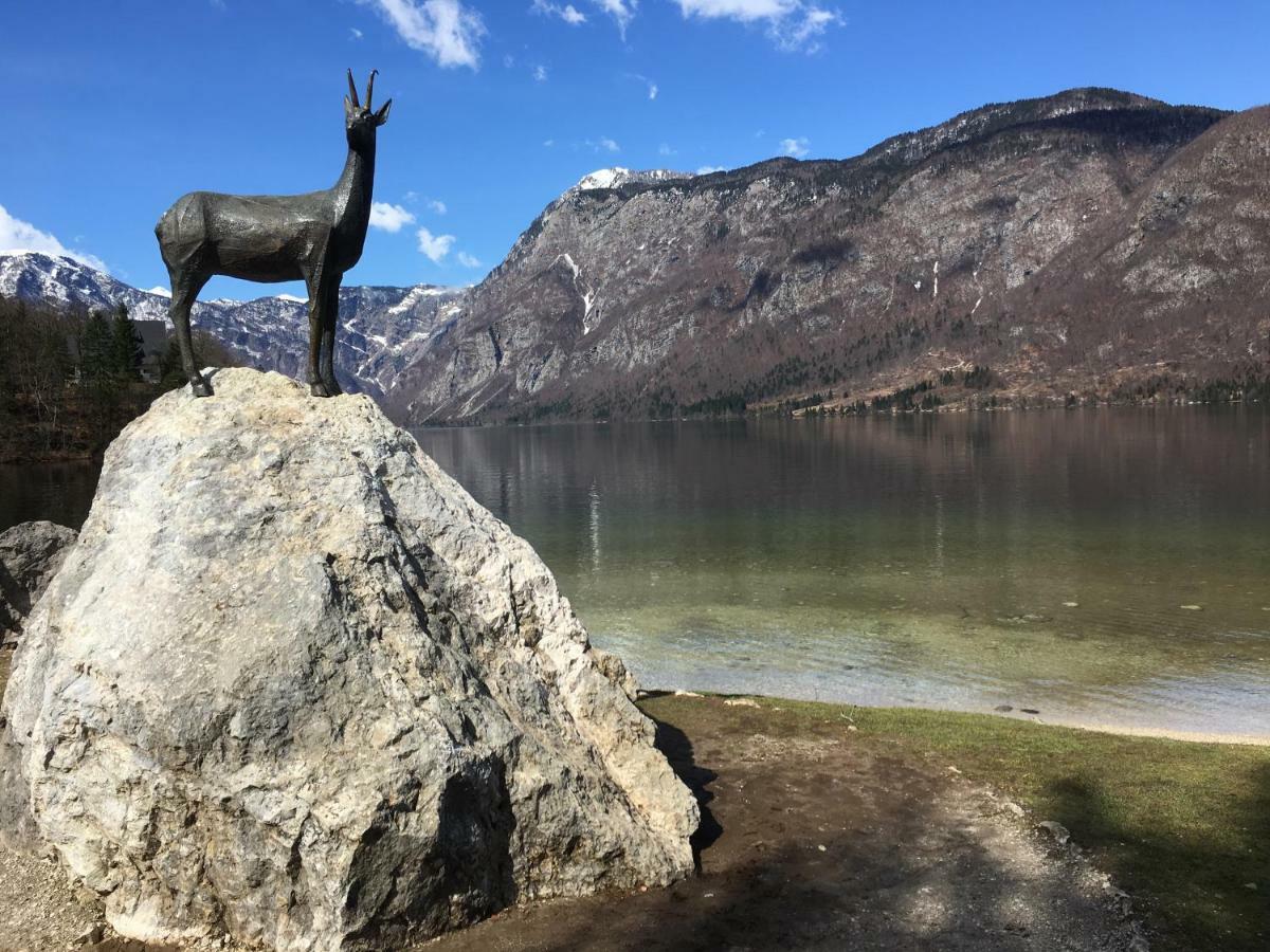 Apartma Neva Bohinj Dış mekan fotoğraf
